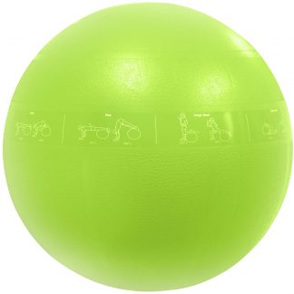 Stability Ball-55cm Element Commercial