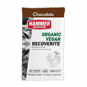 Drink Mix-Hammer Recoverite Vegan Singles Chocolate