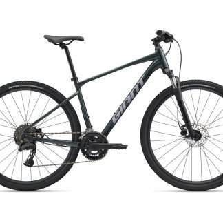 Giant-Roam 2 Disc Medium Hybrid Green